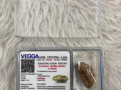 WhatsApp Image 2021-02-10 at 4.19.32 PM (1)