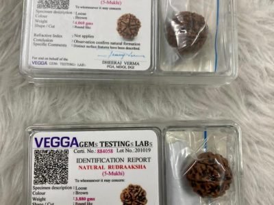 WhatsApp Image 2021-02-10 at 4.19.32 PM (2)